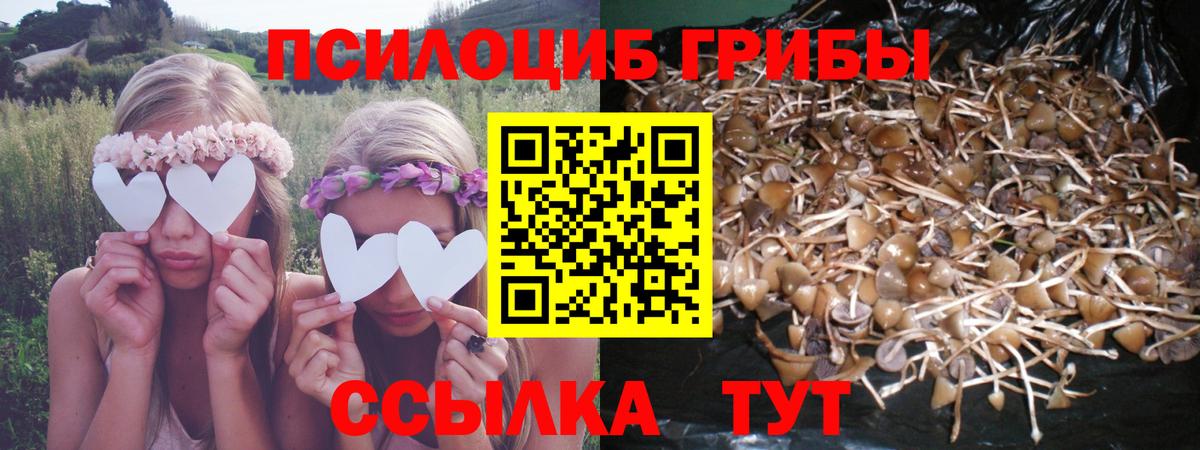 Псилоцибиновые грибы мицелий  Вход с VPN  Гусев  Галлюциногенные грибы MAGIC MUSHROOMS 